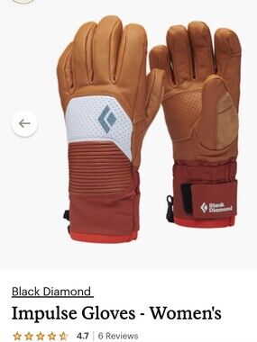 Black Diamond Impulse Leather Ski Gloves